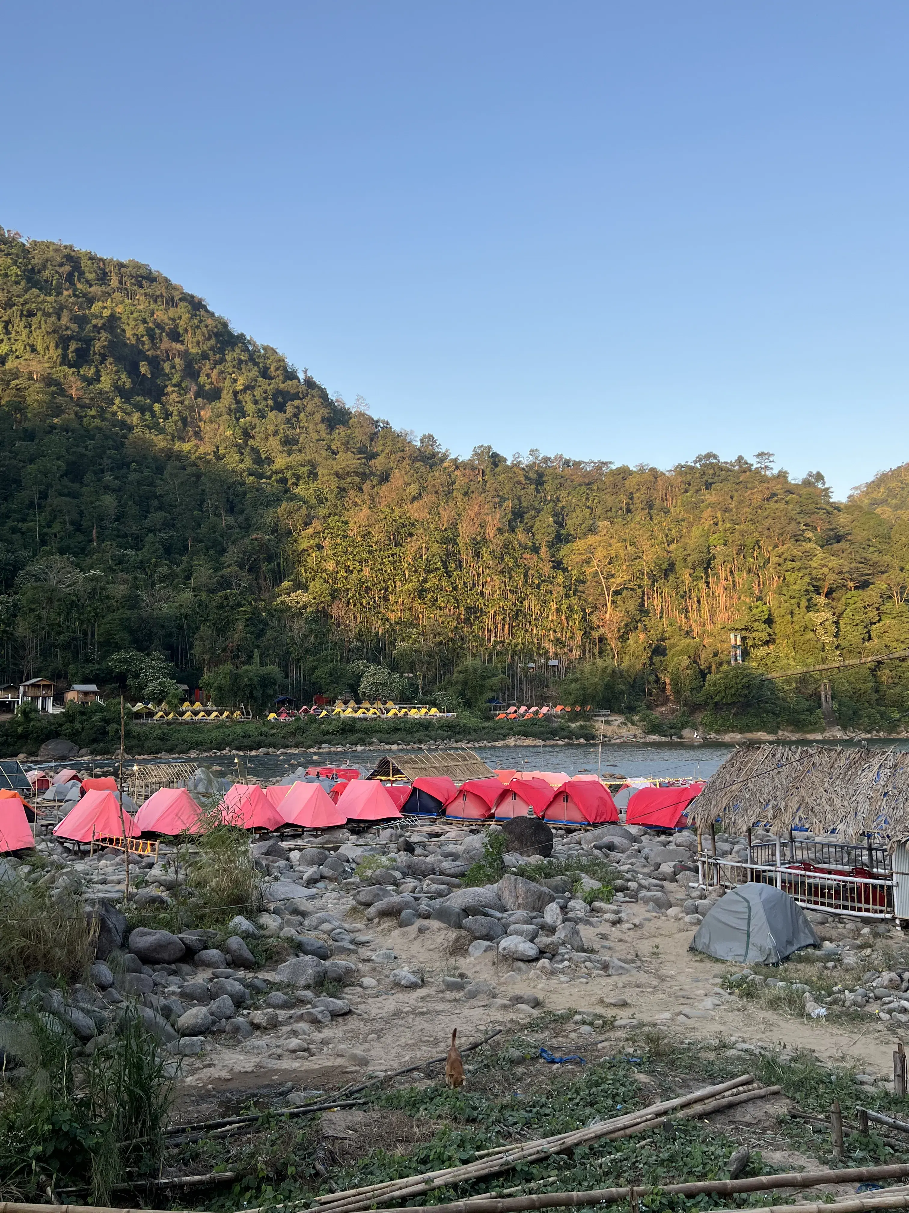 Trip gallery image 4